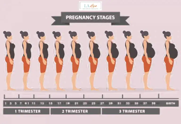 First Trimester (Weeks 1–12): Early Changes You Might Not Notice Eastbourne